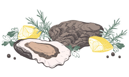 Oyster vector. Shells, hand drawn. Fresh oysters open crayfish isolated on white background, linear sketch. Engraving effect, ink. Clipart for logo, menu.のイラスト素材