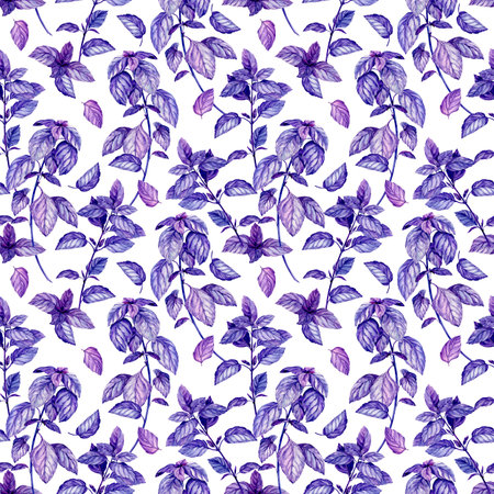 Watercolor seamless pattern with hand drawn purple basil. Spicy herbs on a white background. Illustration for packaging, menu, ideal for kitchen textiles.の写真素材