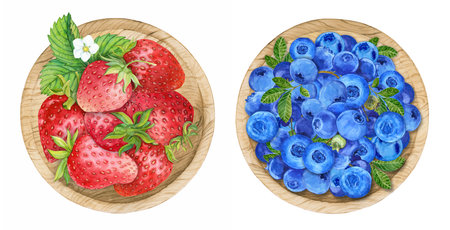 Blueberries and strawberries in a bowl, watercolor. Ripe berries in a wooden plate on a white background, top view. Farm harvest, rustic style, botanical illustration. Provence style.の写真素材