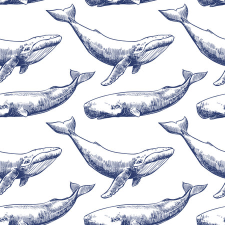 Vector seamless pattern with whales and sperm whales. Marine animals in engraving technique, freehand drawing with ink. White background. Can be used for wallpaper, textile, fabric, wrapping paper.のイラスト素材