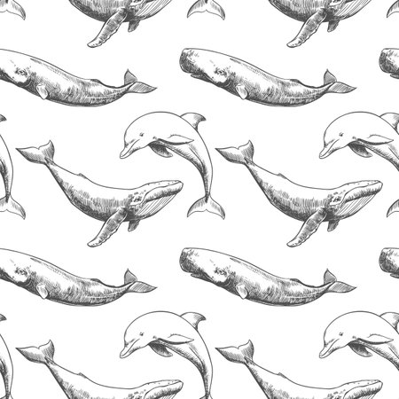 Vector seamless pattern with whales and sperm whales. Marine animals in engraving technique, freehand drawing with ink. White background. Can be used for wallpaper, textile, fabric, wrapping paper.の写真素材