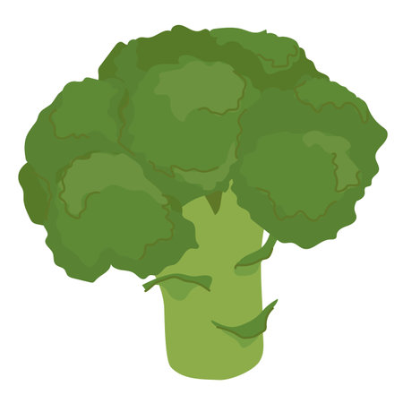 Broccoli with head and stem. Vector illustration in a flat style. Fresh raw vegetable green tree cabbage. Vector illustration isolated on white background in cartoon style.のイラスト素材