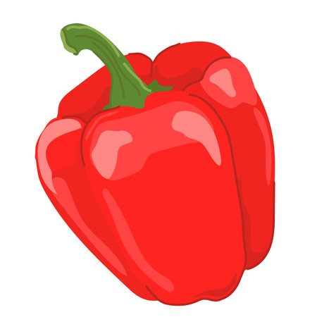 Paprika cartoon. Vector illustration of a whole bell pepper. Sweet red pepper from Bulgaria, farm juicy vegetable, seasoning for cooking.のイラスト素材