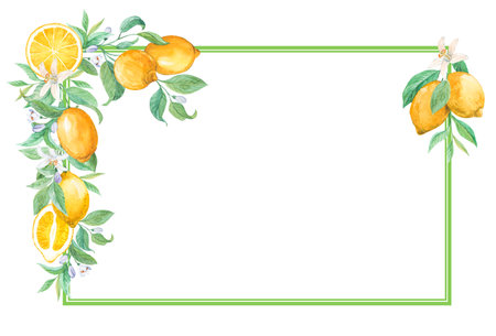 Horizontal frame with lemons. Watercolor illustration. Composition in retro style for wedding invitation, greeting card. Limoncello label design template. Mediterranean Provence style.の写真素材