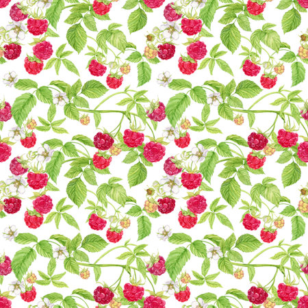Raspberry branches on a white background. Watercolor seamless background with summer red berries. Illustration for spring cover, summer textile, wedding invitation. Red berries, flowers, leaves.の写真素材