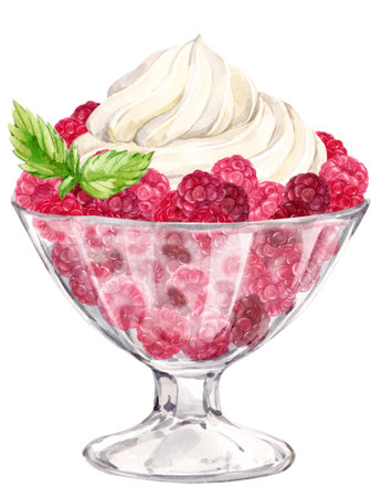Ripe raspberries in a dessert glass and a beautiful peak of whipped cream on top. Watercolor illustration. Refreshing summer dessert, frozen yogurt and berries, mint. clipart for cafe, restaurant menuの写真素材