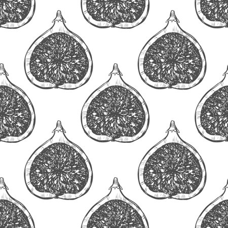 Fig fruit seamless vector pattern in sketch style. Background for design, packaging, textile. Half fig fruits in outline on a white background. Engraving style.のイラスト素材