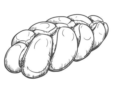 Challah bread vector. Element of the Shabbat Kiddush ceremony. Freshly baked homemade braided challah bread for Shabbat. Line sketch in engraving style.のイラスト素材