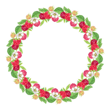 Raspberry wreath on a white background. Watercolor Ripe red berries, flowers, branches and leaves. Watercolor frame for the design of cards, invitations, stickers, labels.の写真素材