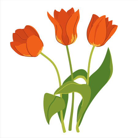 Beautiful bouquet of red tulips isolated on a white background. A bouquet of spring flowers, a gift for International Womens Day or Mothers Day. Colorful vector illustration in flat style.のイラスト素材