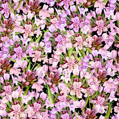 Watercolor seamless pattern with hand-drawn thyme sprigs. Beautiful design for food, tea, aromatic oils. Illustration for printing on fabric, wallpaper, packaging.の写真素材
