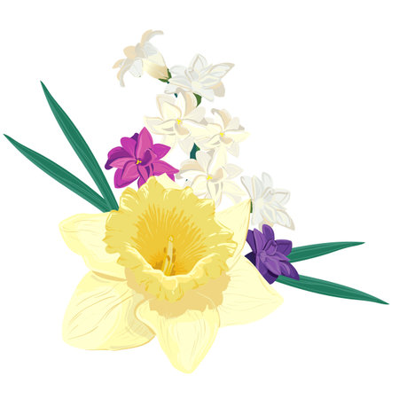 Bouquet of bright spring flowers. Vector colored hyacinths and yellow daffodil on a white background. Primroses in cartoon style are suitable for greeting cards for Mothers Day and Womens Day.のイラスト素材