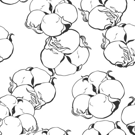 Seamless black and white pattern of cotton flowers. Botanical illustration using engraving technique. Vector ink sketch. Illustration suitable for fabric, textileのイラスト素材
