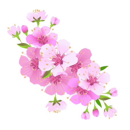 Realistic Japanese cherry sakura branch with pink flowers. Vector illustration of cheerful flowers. Composition for a Mothers Day greeting card or wedding invitation. Hanami Festival in Japan.のイラスト素材