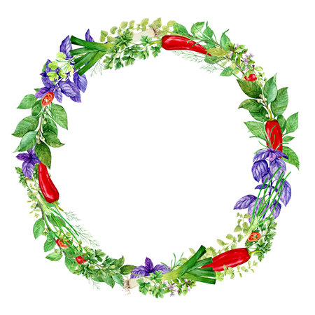 Watercolor frame of herbs isolated on white background. Floral illustration for foam design, product packaging. Culinary herbs mint, bay leaf, basil, dill, tarragon, oregano, pepper, onion, leek.の写真素材