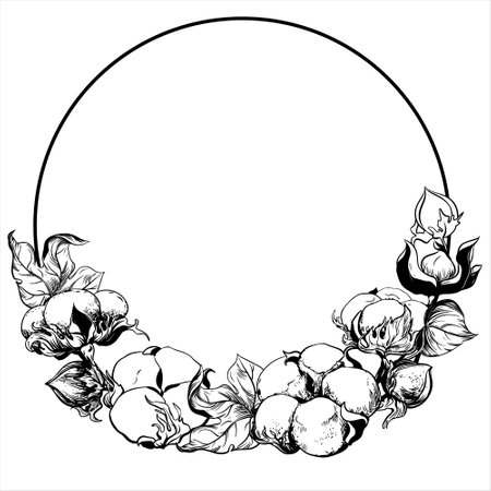 Vector cotton round frame. Cotton seeds and leaves in vintage style with engraving. Drawing in retro engraving style. Illustration for label, wedding invitation.のイラスト素材