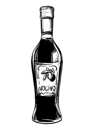 Liquor Nocino bottle isolated on white background. Vector sketch, vintage hand engraving. Hand drawn ink drawing of a bottle. Line art of menu, design, label.のイラスト素材