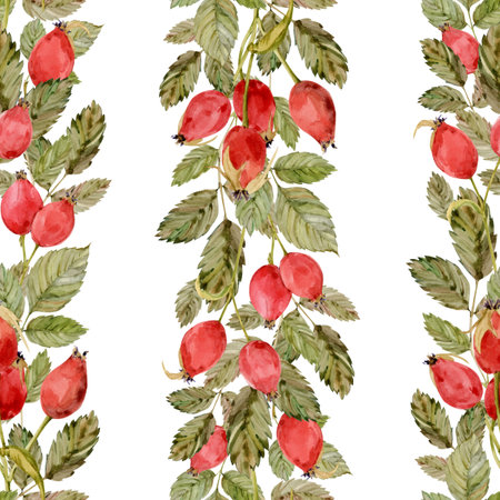 Watercolor dog-rose Briar pattern, berries and green leaves isolated on white background. Hand drawn botanical briar brunches. Clipart for herbal tea label.の写真素材