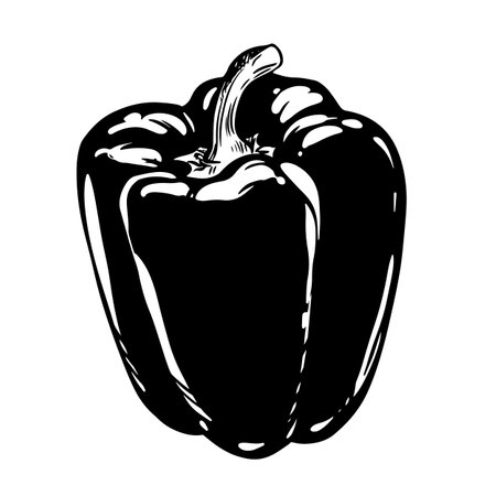 Vector illustration of ripe paprika. Black ink drawing of whole sweet bell pepper. Ripe vegetable for logo, eliquid or farm product design. Engraving style sketch on white background. Culinary spice.のイラスト素材