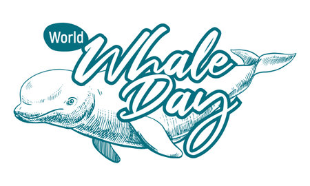 Emblem with an appeal to save marine mammals. Whale Day, February 19, 2025. Vector monochrome linear drawing of a beluga whale. Concept of the problem of preserving animal diversity in the ocean.のイラスト素材