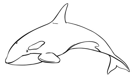 Vector logo of marine animal killer whale. Stylized linear illustration of Orca. Killer whale, sea predator jumping out of water with curved tail. Hand drawn, imitation of engraving technique.のイラスト素材