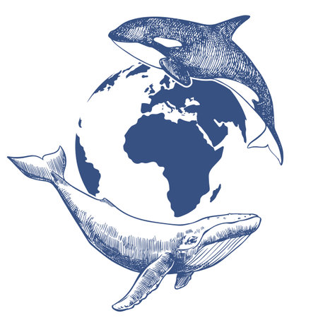 Vector emblem for Whale Day or Ocean Day. Line drawing of killer whale and humpback whale against the background of planet Earth. Concept of conservation of nature and diversity of marine mammals.のイラスト素材