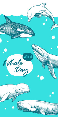 World Whale Day February 19. Vector vertical poster with cachalot, dolphin, orca and beluga and humpback whale. Hand drawn, engraving technique. Environmental protection concept.のイラスト素材