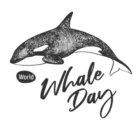 Whale Day emblem, February 19, 2025. Vector linear drawing of killer whale. Concept of global problem of preserving animal diversity in the ocean. Orca design for t-shirt.のイラスト素材