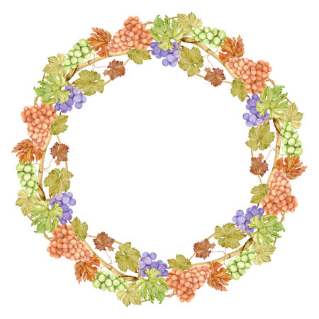 Watercolor grapevine wreath with blue and green berries. Round frame of berries and leaves. Autumn design for rustic wedding decoration. Label for red wine, juice. Clipart for restaurant menu.の写真素材