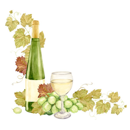 Corner composition watercolor. Branch with white grapes, and next to it a glass of white wine and a bottle of green glass. Illustration of green berries. Clipart for tasting, menu, wine list.の写真素材