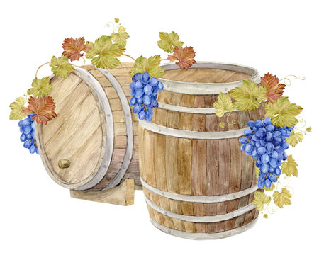 Two Watercolor wooden oak barrel for storing fermented wine. Watercolor brown barrel with lilac grapes. Illustration of purple fruits, leaves and branches. Clipart for wine labels, winery, restaurantの写真素材