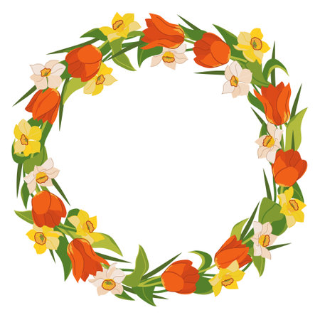 Beautiful wreath of tulips and daffodils isolated on white background. Round frame with red, yellow and white spring flowers, gift for Mothers Day. Colorful vector illustration in flat style.のイラスト素材