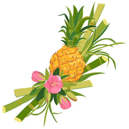 Vector sticker with pineapple, sugar cane and flowers. Tropical vacation emblem. Illustration for beach bar menu. Cruise vacation, summer holidays, party, cafe.のイラスト素材