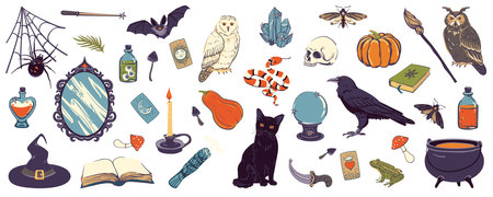 Vector big set with witch objects. Witchcraft concept, esoteric. Illustration with mirror, cauldron, skull, potion, raven, crystal, bat, black cat, candle, spider, web, ball of luck for Halloween.のイラスト素材