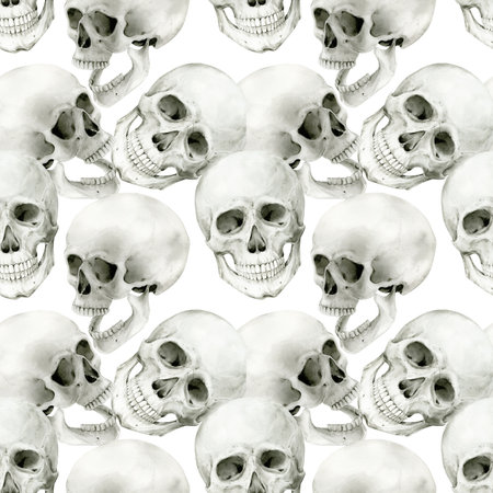 Illustration of a human skull on a white background. Watercolor Halloween decor, vintage mystical decor. Vintage cranium on the front. Anatomic detailed drawing of a skeleton bone.の写真素材