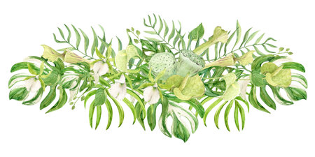Bouquet of white orchids, green anthurium, sarracenia and monstera leaves. Exotic plants of tropical forests and jungles. Watercolor illustration for summer wedding invitations in jungle style.の写真素材