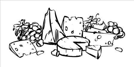 A vector composition of various cheeses and grapes. Swiss cheese with holes, soft Camembert, Parmesan, Brie, Gouda, and Cheddar. A wine pairing. It mimics a quick ink and brush drawing.のイラスト素材