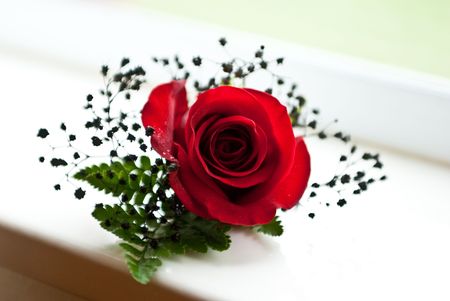 A lone red rose boutonniere sitting on a window sillの写真素材