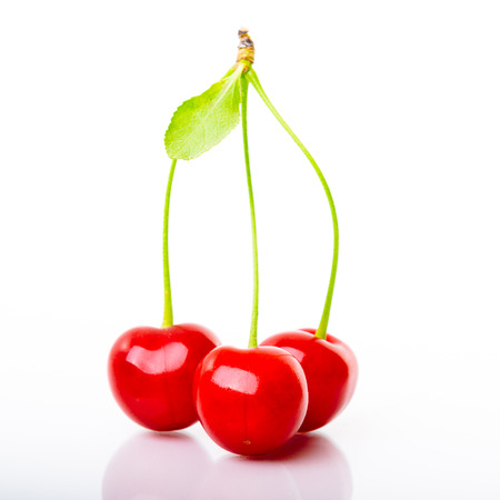 Sour cherries with small leave isolated on white backgroundの写真素材