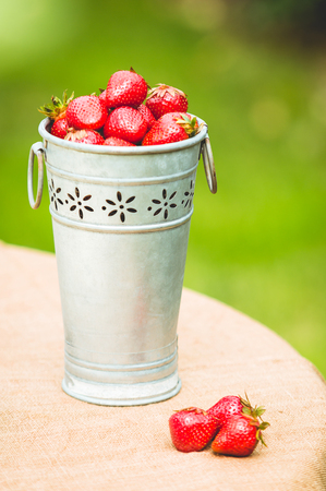 Fresh strawberries in metal bucket, on garden tableの写真素材