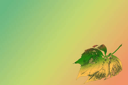 on a course, there is a stylized autumn leafの写真素材