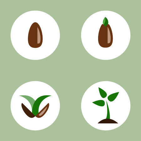 Set of illustrations with phases. Timeline infographic of planting tree process. Image for banners, web sites, designs.のイラスト素材