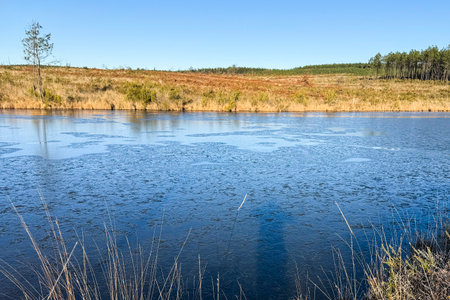 landscape with frozen pond and blue sky.