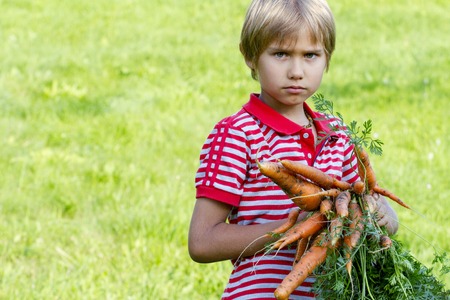 Healthy organic vegetables for kids. Boy holding a carrot in his hand.の写真素材