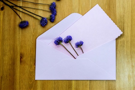 Wild purple meadow flowers with pink envelop on wooden background. Flat lay. Top view.の写真素材