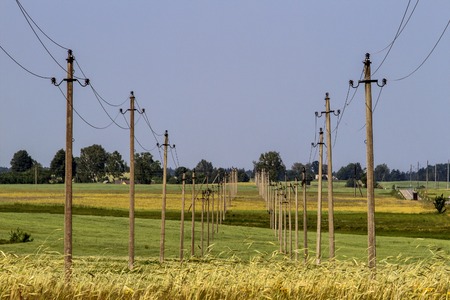 Electricity poles and wires in rural field. Summerの写真素材