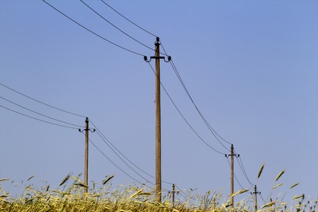 Electricity poles and wires in rural field. Summerの写真素材
