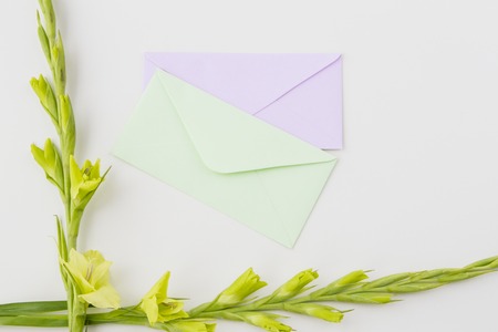 Yellow gladiolus flowers and two envelopes on white background from above, top view, flat lay, copy space for textの写真素材