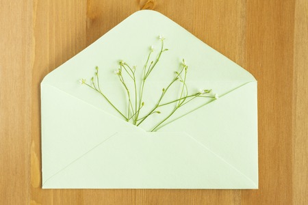 Wild meadow flowers in open envelop on wooden background. Flat lay. Top view.