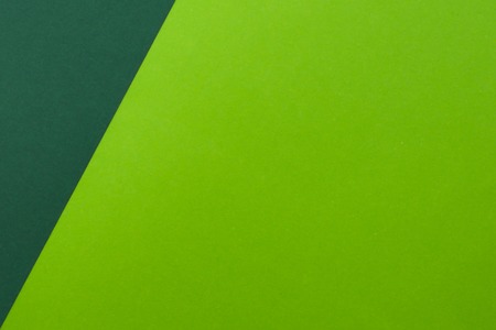 Greenery and green colored paper background.の写真素材